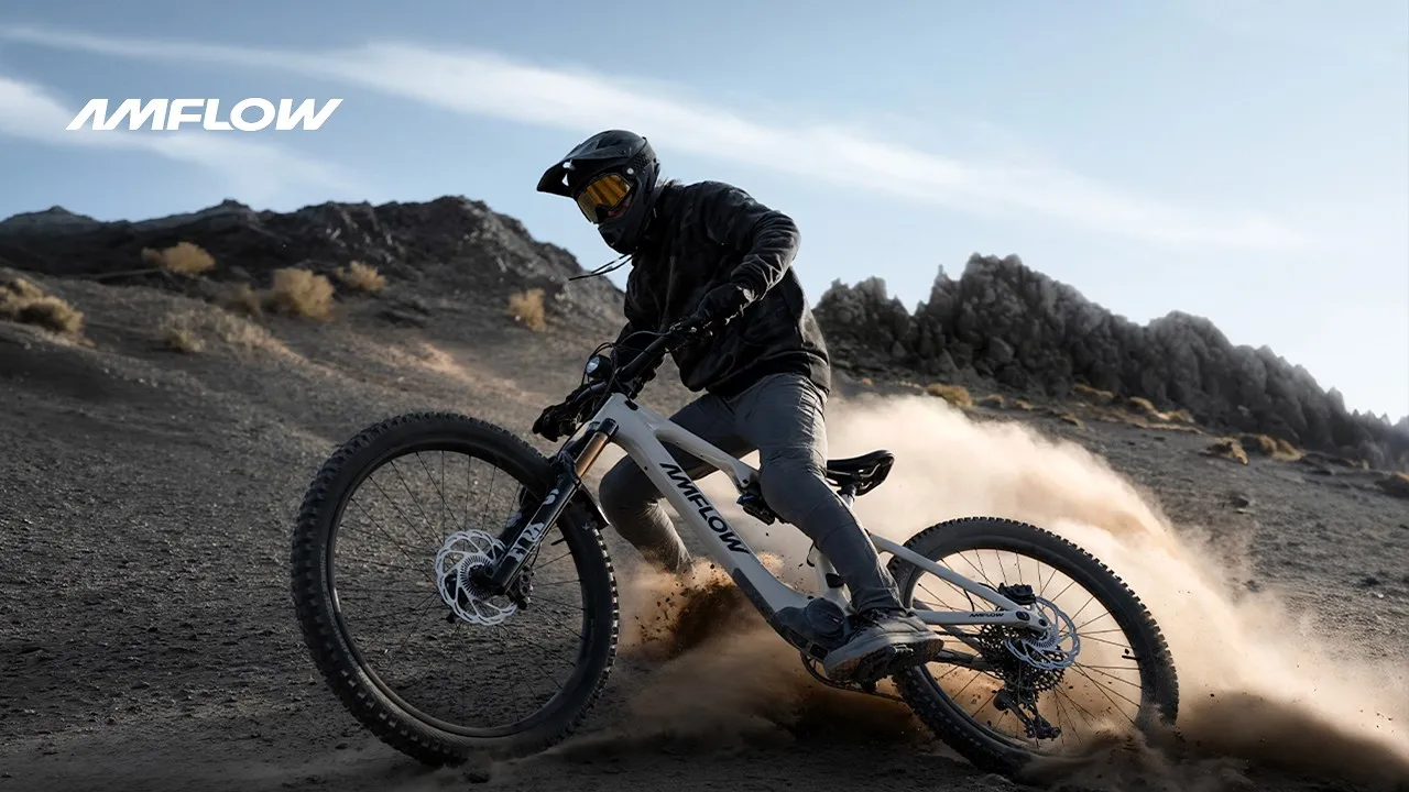 Introducing Amflow PX